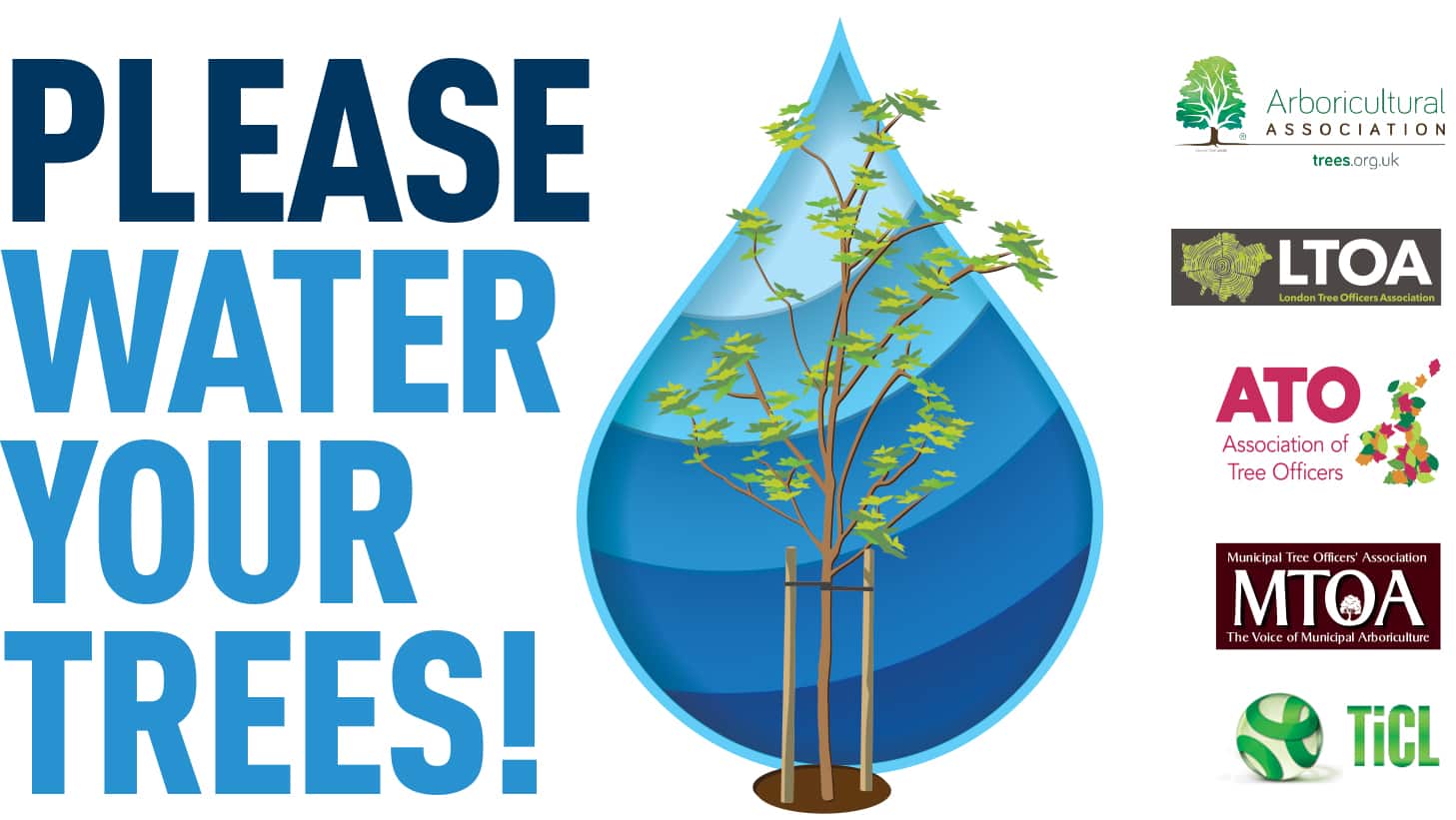 Arboricultural Association Watering young trees in dry weather